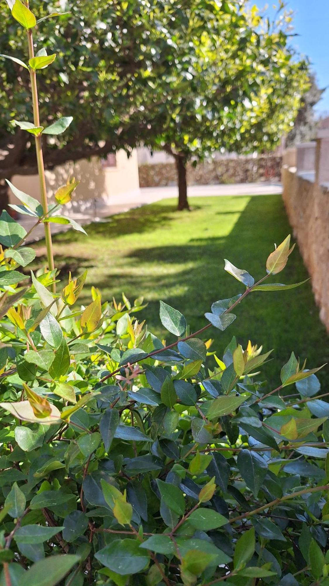 Antares Apartments Cavtat Exteriör bild